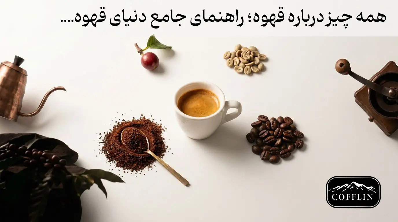 قهوه چیست؟ راهنمایی جامع قهوه