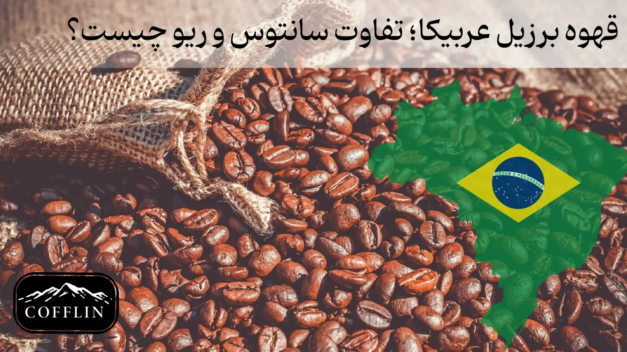 قهوه برزیل عربیکا؛ تفاوت سانتوس و ریو چیست؟